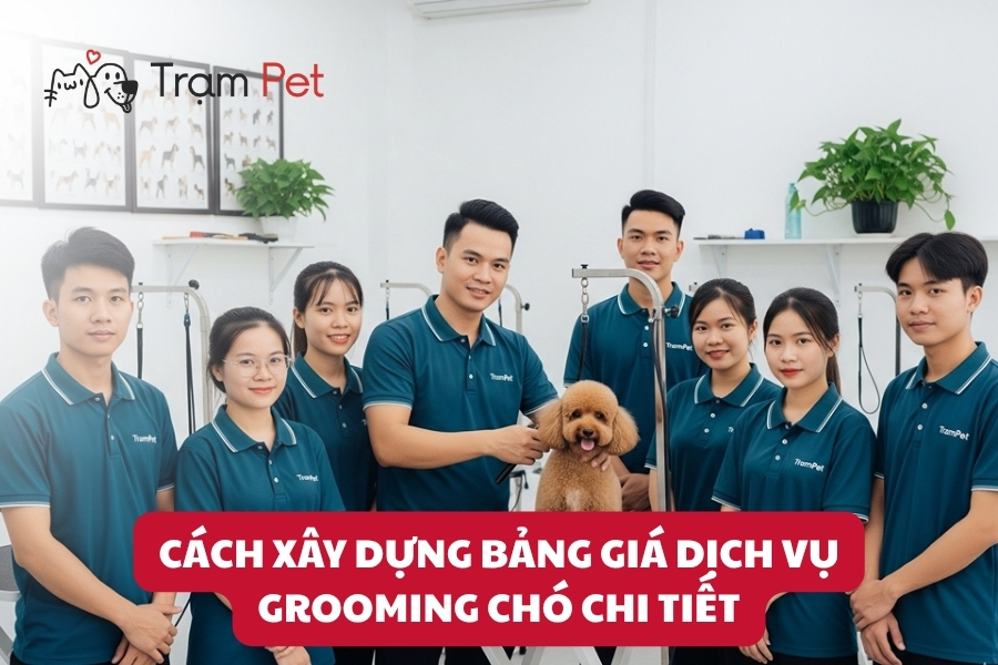 Cách xây dựng bảng giá dịch vụ grooming chó chi tiết