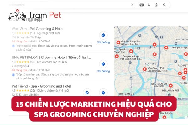 Chiến lược marketing hiệu quả cho spa grooming