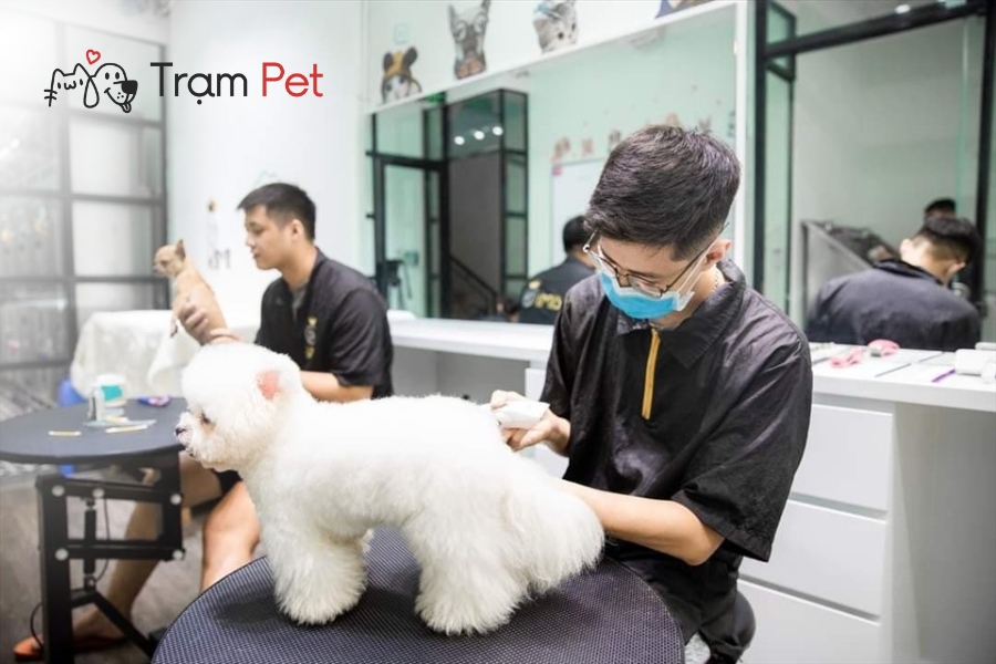 Hà Nội xếp thứ hai về mức lương grooming với khoảng 6 – 14 triệu đồng/tháng