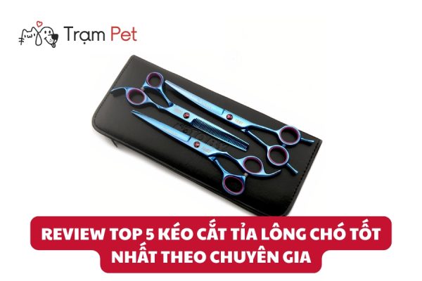 Review Top 5 Kéo Cắt Tỉa Lông Chó Tốt Nhất