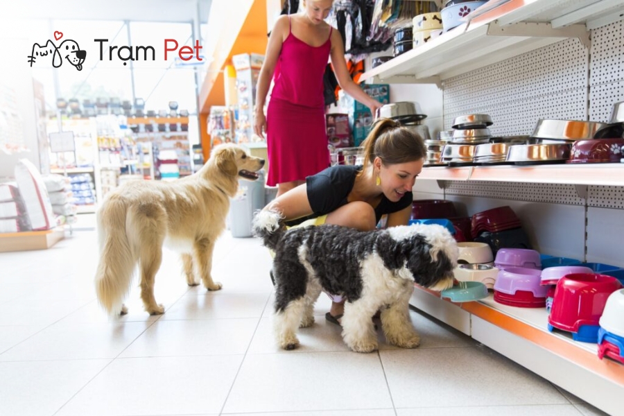 Đăng ký theo hình thức Doanh nghiệp (Công ty)