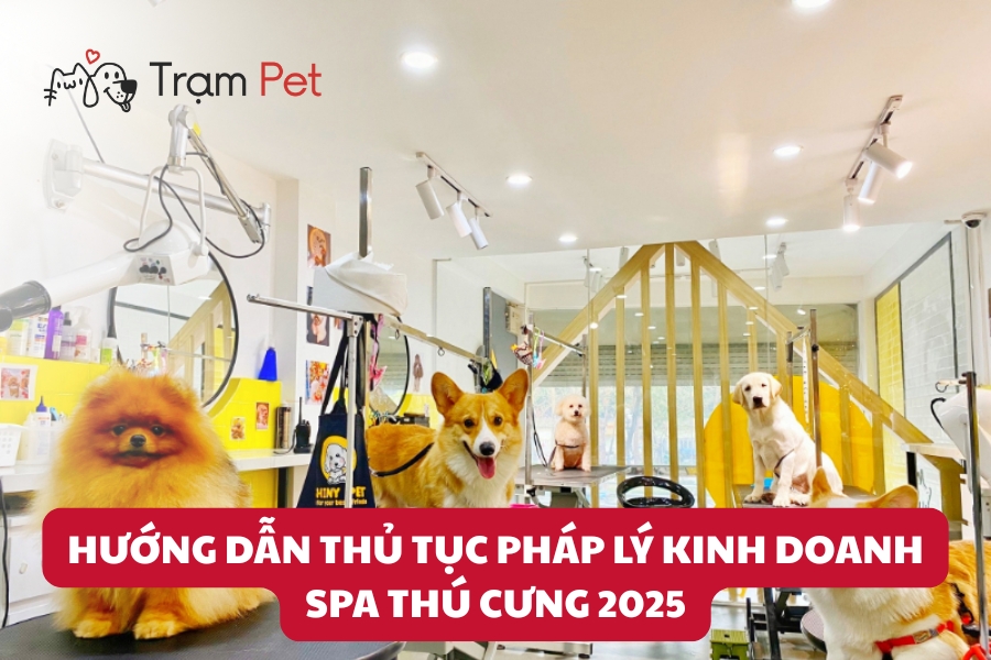 Hướng Dẫn Thủ Tục Pháp Lý Kinh Doanh Spa Thú Cưng 2025