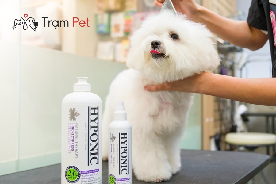 Lựa chọn mùi hương phù hợp