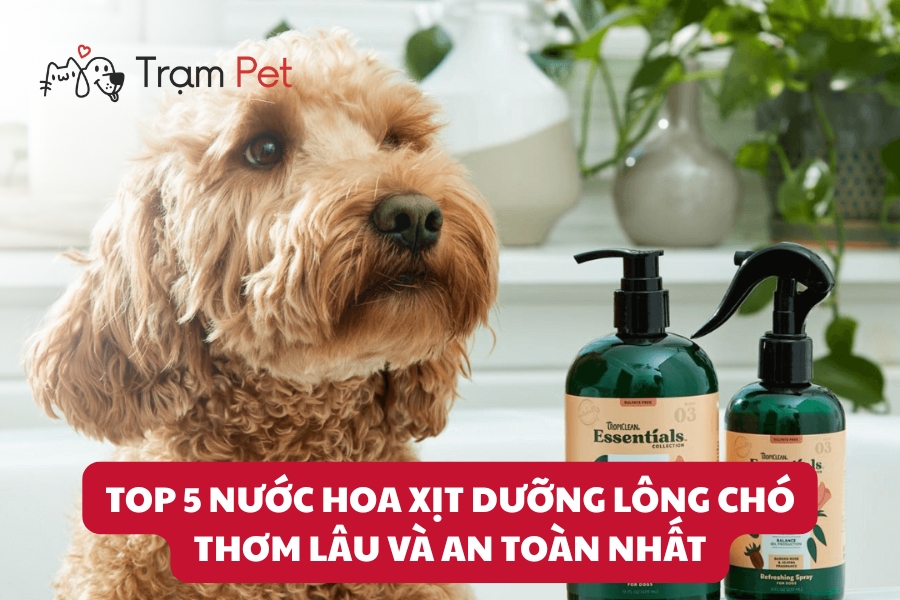 Top 5 Nước Hoa Xịt Dưỡng Lông Chó Thơm Lâu Và An Toàn Nhất